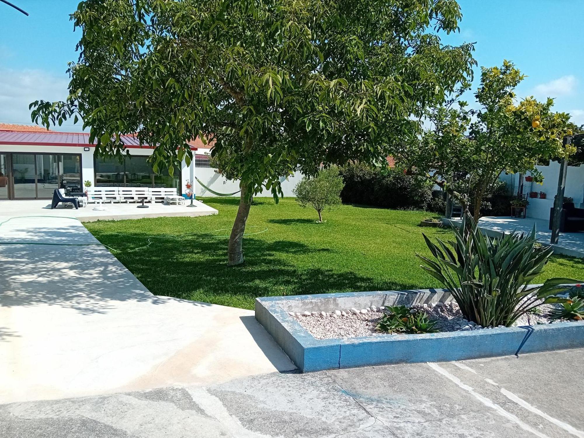 Casa Dos Avos Veras Aveiro Exterior foto