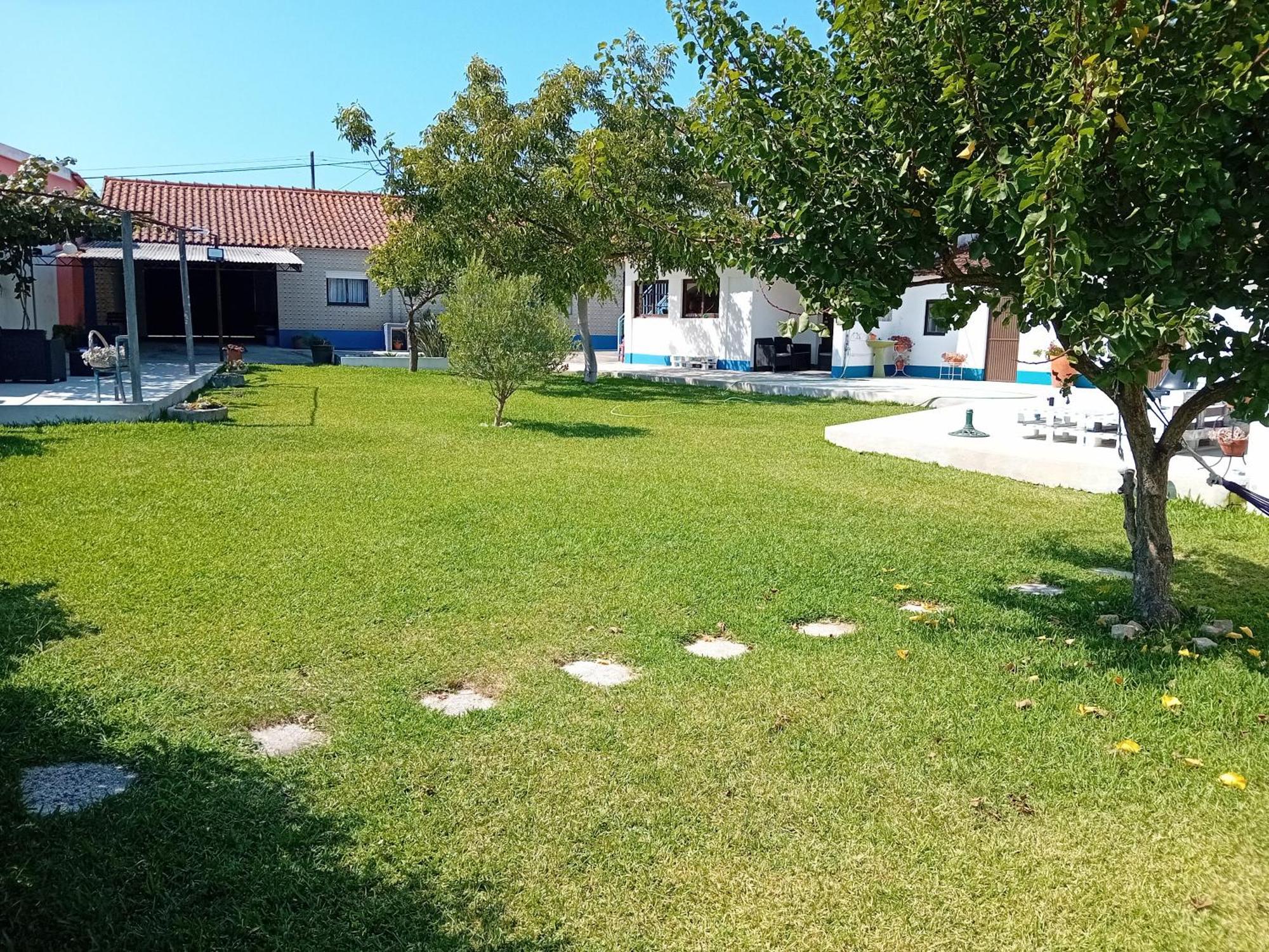 Casa Dos Avos Veras Aveiro Exterior foto